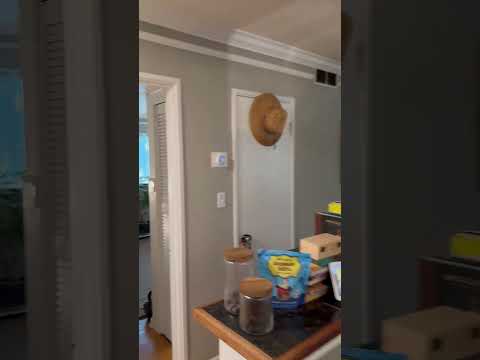 Maple Place Apartments - Video 4 of 4