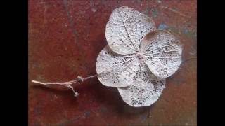 Schutzengel - Jeezy West (Poetry)