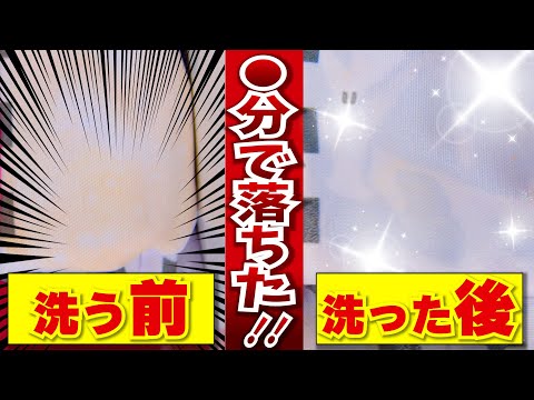 SHARP シャープ 超音波ウォッシャー UW-X1-S(シャープ SHARP UW SHARP シャープ 超音波ウォッシャー UW-X1-S(シャープ SHARP UW