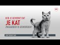 Royal Canin Light Weight Care
