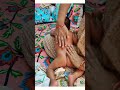 How To Massage A Newborn Baby Indian Style BabyAadhyan