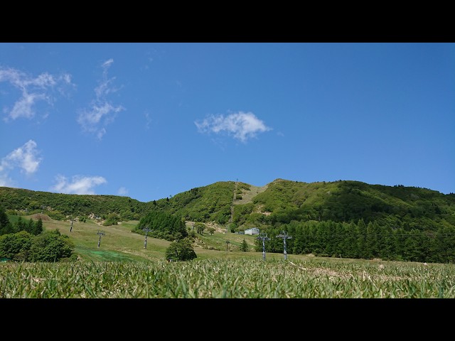 ハチ高原スキー場 標高900m付近