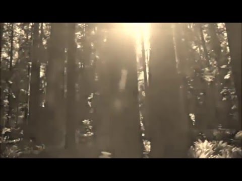 Lyciarh Conform - Wolfsgedicht (Official Video)
