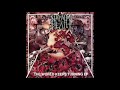 Napalm Death - Insanity Excursion (Official Audio)