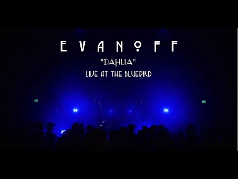 Dahlia (Live at The Bluebird 2/15/2019)