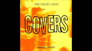 Postcard - The Velvet Ants (Lemonheads cover)