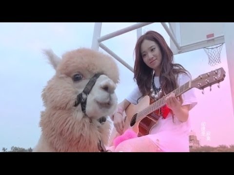 全民寶貝Kimberley陳芳語《分手說愛你》 Official MV (HD)