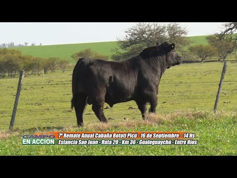 Cabaña Bototi Picú cumple 25 años y celebran con un Remate Especial - Santiago Barcia