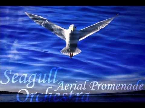 Seagull Orchestra - Aerial Promenade Slowed Down