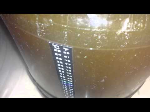 First all grain home brew fermentation activity