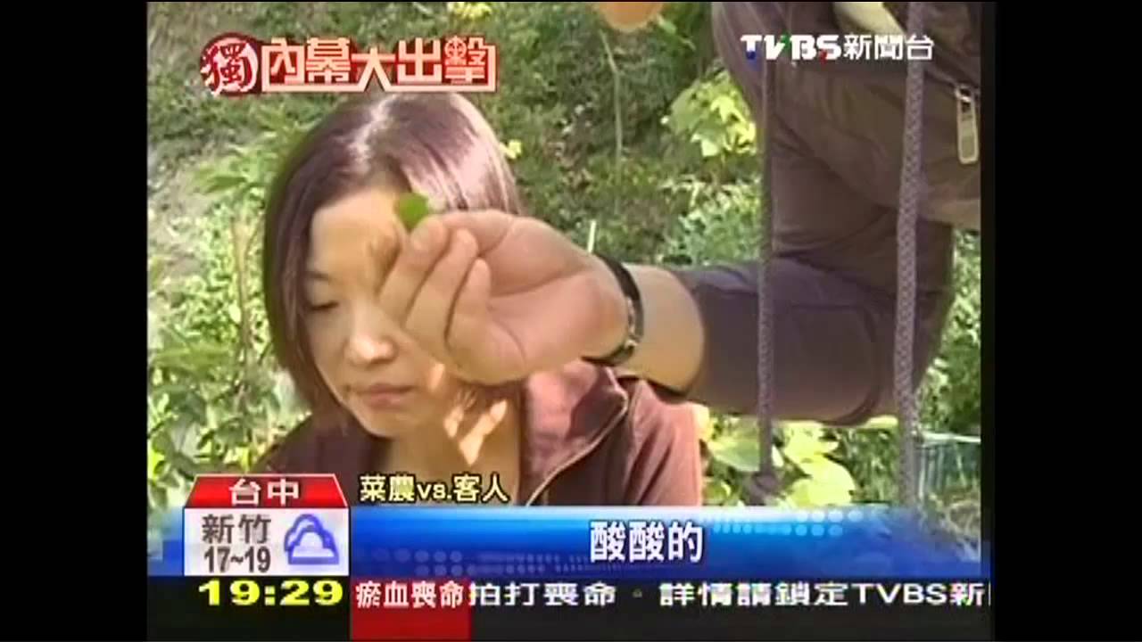 〈獨家〉菜園位隔絕帶 搭單軌車攀海拔400公尺