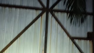 Download lagu Bungalow Terbiar- Kisah Farah di Potong Kepala mp3 Download lagu Bungalow Terbiar- Kisah Farah di Potong Kepala mp3