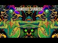 ॐ Shambhu Shankar ॐ | Psychedelic Trance 🕉️ | Shiva Trance 2026 #psytrance #shivatrance 