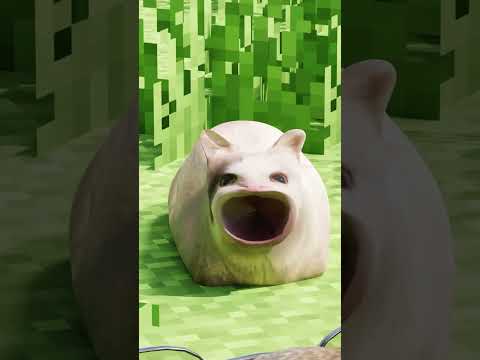 Maxwell and Capybara. Ft. Pop Cat (Let me do "Pop!-Pop!-Pop!" for you) 🐈✨