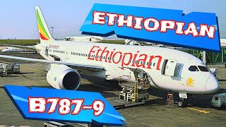 ✈️ HONEST REVIEW | Ethiopian Airlines B787-9 | Economy Class | Stockholm - Oslo