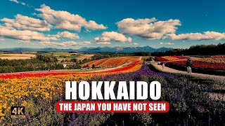 Hokkaido: Japan's Untouched Wilderness 🗻🦊🌸