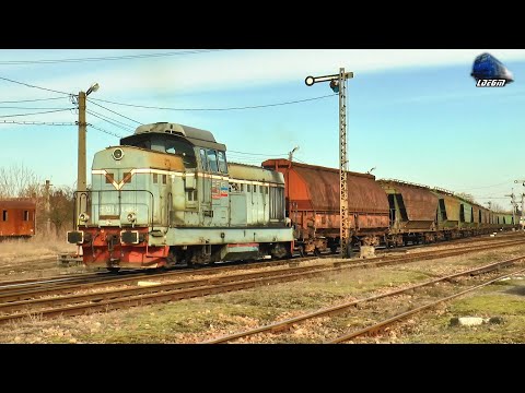 LDH1250 80-0489-2 la Manveră în Gara Valea lui Mihai - 12 Februarie 2025