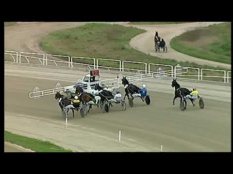 Napoli Trotto 19/02/2021 - prova di qualifica