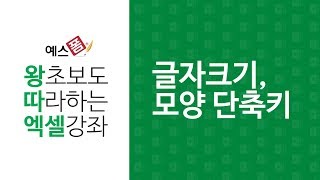 [예스폼 엑셀강좌] 왕따엑셀 메뉴 / 32. 글자크기, 글자모양 단축키