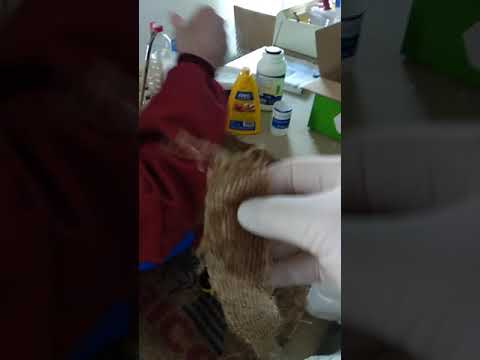 Restauraci�n alpillera