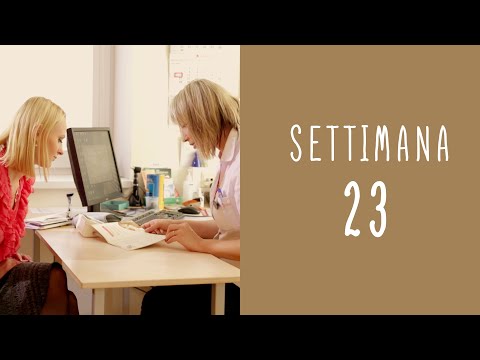 Calendario della gravidanza - settimana 23