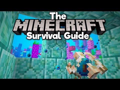 Insane Minecraft Adventures: Conduits and Coral!