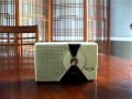 1955 Philco T7 Early Transistor Radio 