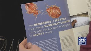 How to report bed bugs you found in hotels
