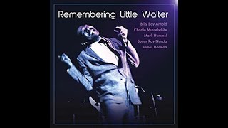 LITLLE WALTER It&#39;s Too Late Brother