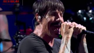 Red Hot ChilI Peppers - Don&#39;t Forget Me (New York, 17/09/2017)