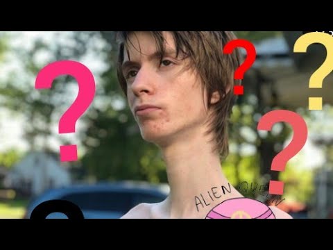 Quem é  daddy long / Tudo sobre daddy long neck /milly. Santos