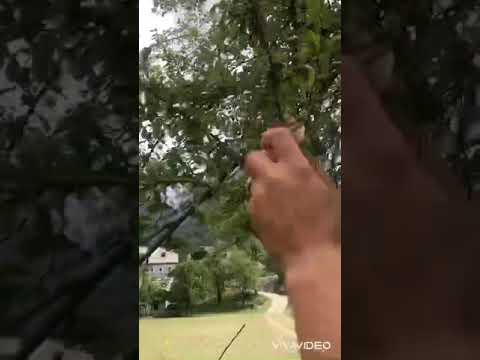 Gatim ne malet e Thethit me frutat e Thethit