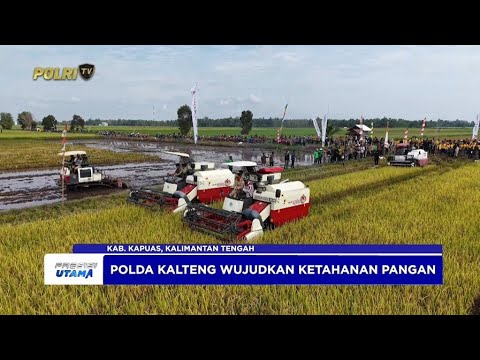 KAPOLDA BERSAMA GUBERNUR KALTENG HADIRI PANEN PADI DI KAPUAS