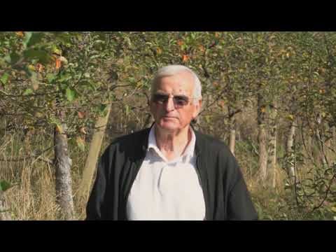 SportDoc - Moja igra sudbine: Od Bosne do Katara - Nedjelja 19:05