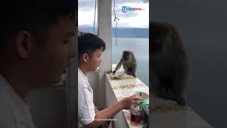Viral Pria Ini Berbagi Makanan dengan Monyet, Ending-nya Malah Mau Diterkam