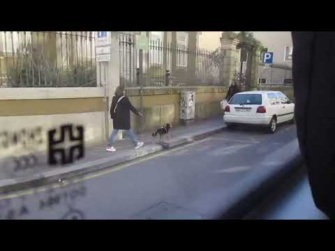 1322 STCP - Zhongtong LCK6126 - Linha / Line 202