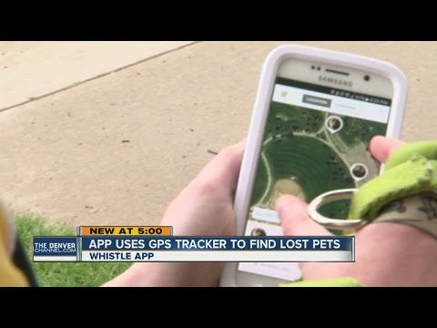App uses GPS tracker to find lost pets