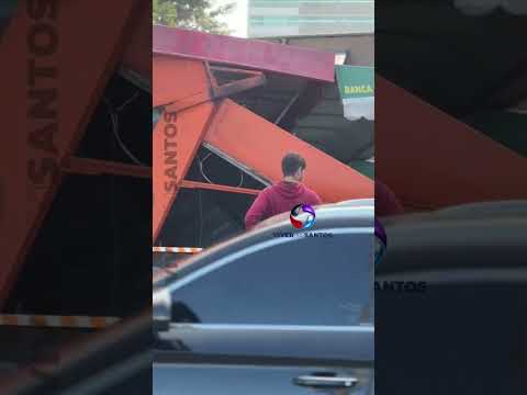 Motorista se assusta com inseto, perde o controle do carro e destrói banca de jornal, em Praia Grande.