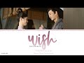 Wish 愿 Liu Chengyu 柳程驭 Please Don T Spoil Me OST 拜托了 别宠我 Lyrics