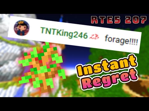 I Let My Chat Choose What I Do... I Regretted It | Hypixel SkyBlock Road To Elite 500 (207)