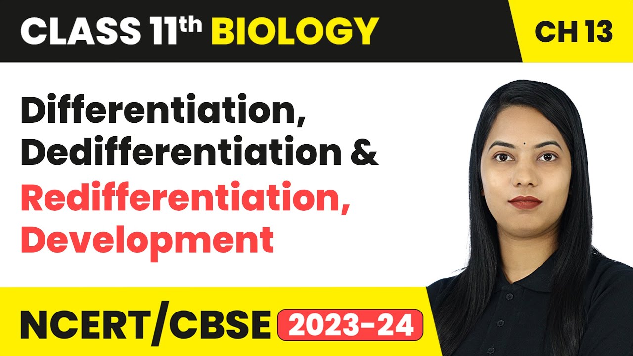 Differentiation, Dedifferentiation & Redifferentiation, Development | Class 11 Biology Ch 13 | CBSE