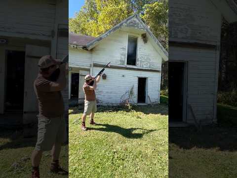 Shooting A Hornet’s Nest #bee #hornet #wasp #jackass #guns #shotgun #dumb #badidea #targetshooting