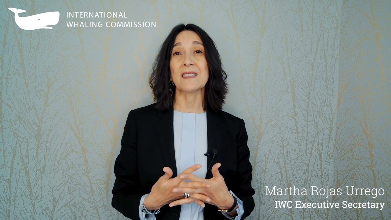 The IWC is pleased to celebrate the International Day for Biological Diversity