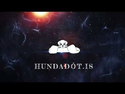 Hundadot.is