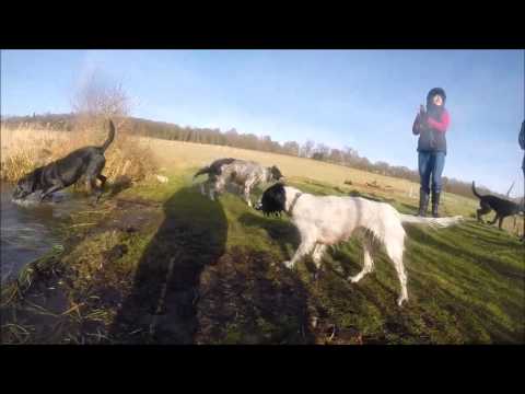 Vincent Guerin Dog walk panshanger January 2015