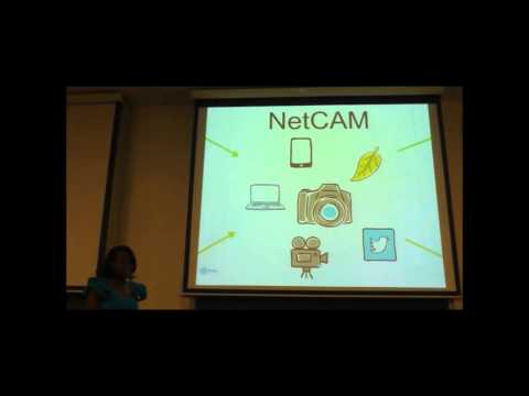 Environmental three-dimensional concurrent engineering