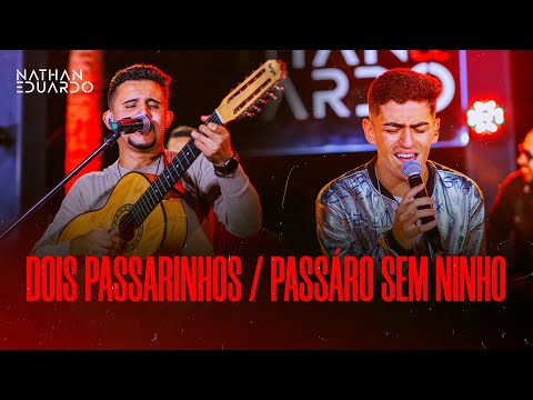 NATHAN E EDUARDO l DOIS PASSARINHOS/ PÁSSARO SEM NINHO  (DVD Subiu o Patamar)