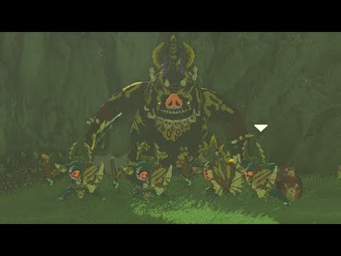 TotK: an impenetrable defense