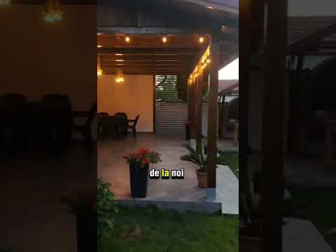 Ai dat scroll, dar clipul ăsta te-a oprit.  Nu e o simplă întâmplare – e o idee care merită văzută.