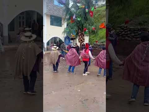 Yunza en el C.P.Mayorarca Pampas Chico RECUAY ANCASH 2026.